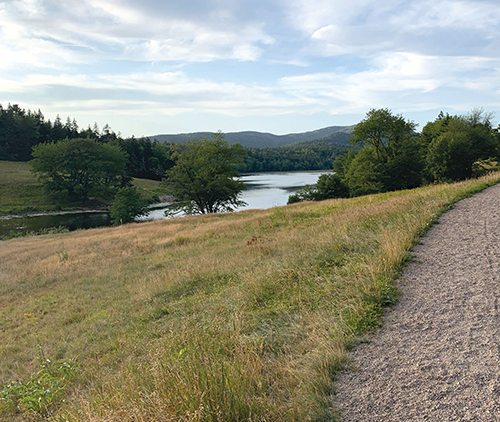 Park scenery. Links to Gifts by Estate Note