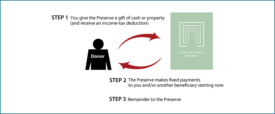 Immediate-Payment Charitable Gift Annuity Thumbnail